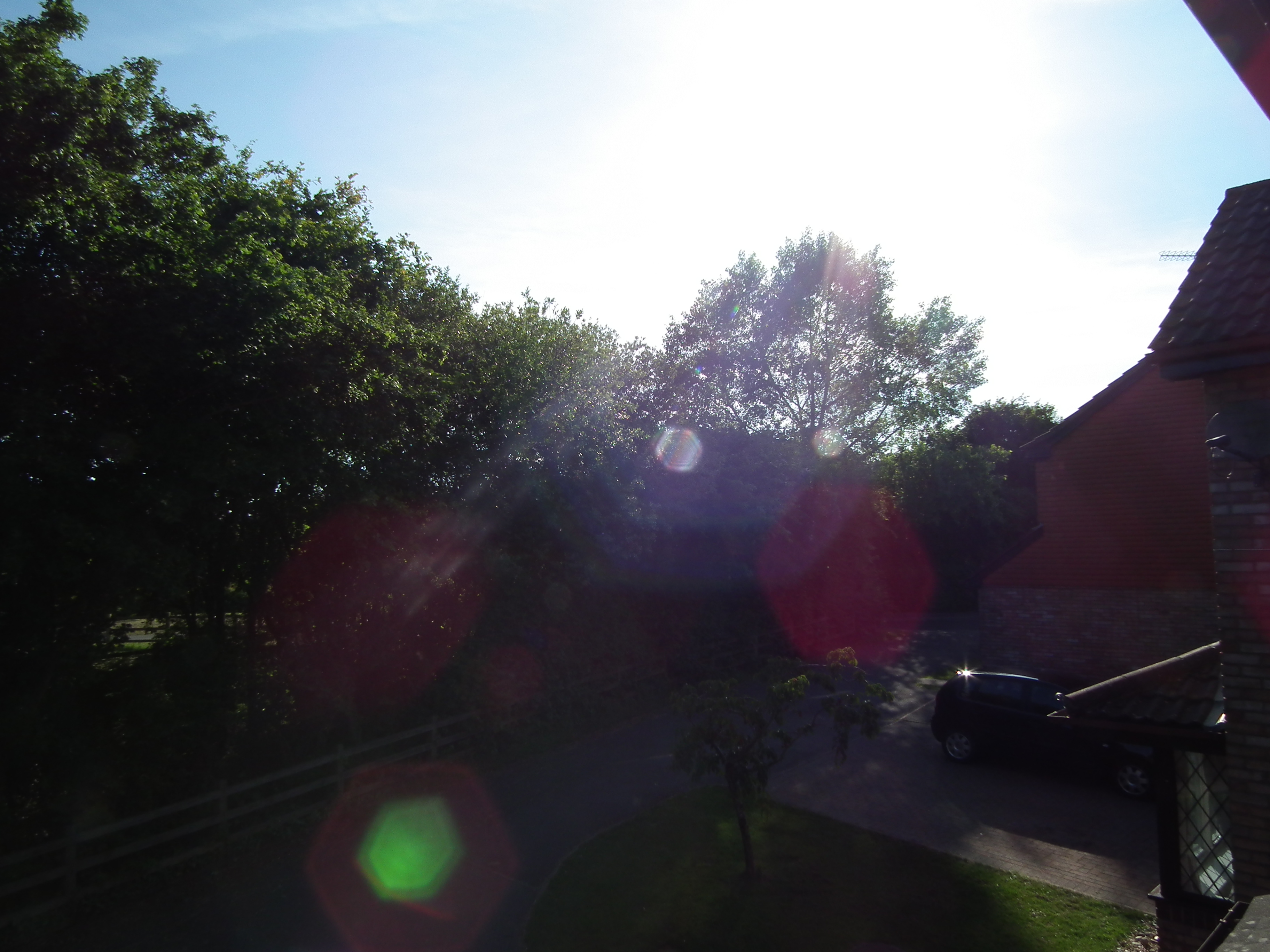 THE RAPTURE!
